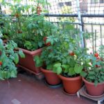 How Will Landscapers Preserve Your Garden?